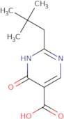 2-(2,2-Dimethylpropyl)-6-oxo-1,6-dihydropyrimidine-5-carboxylic acid