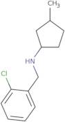 N-[(2-Chlorophenyl)methyl]-3-methylcyclopentan-1-amine