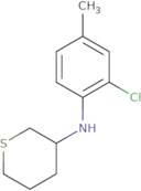 N-(2-Chloro-4-methylphenyl)thian-3-amine