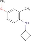 N-Cyclobutyl-4-methoxy-2-methylaniline