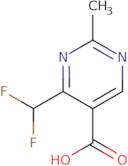 4-(Difluoromethyl)-2-methylpyrimidine-5-carboxylic acid