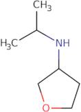 N-(Propan-2-yl)oxolan-3-amine