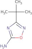 3-tert-Butyl-1,2,4-oxadiazol-5-amine