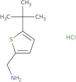 (5-tert-Butylthiophen-2-yl)methanamine hydrochloride