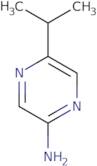 5-(Propan-2-yl)pyrazin-2-amine