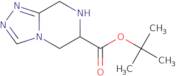 tert-Butyl 5H,6H,7H,8H-[1,2,4]triazolo[4,3-a]pyrazine-6-carboxylate