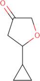 5-Cyclopropyloxolan-3-one