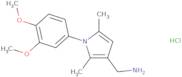 [1-(3,4-Dimethoxyphenyl)-2,5-dimethyl-1H-pyrrol-3-yl]methanamine hydrochloride