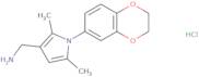 [1-(2,3-Dihydro-1,4-benzodioxin-6-yl)-2,5-dimethyl-1H-pyrrol-3-yl]methanamine hydrochloride