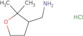 (2,2-Dimethyloxolan-3-yl)methanamine hydrochloride