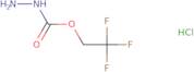 (2,2,2-Trifluoroethoxy)carbohydrazide hydrochloride