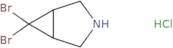 6,6-Dibromo-3-azabicyclo[3.1.0]hexane hydrochloride