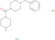 1-Benzyl-4-(piperazine-1-carbonyl)piperazine dihydrochloride