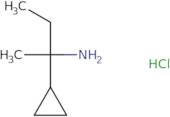 2-Cyclopropylbutan-2-amine hydrochloride