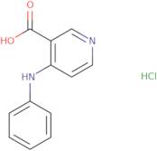 4-(Phenylamino)pyridine-3-carboxylic acid hydrochloride