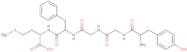 Methionine-Enkephalin (Human, Porcine, Bovine, Rat, Mouse)