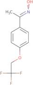 N-{1-[4-(2,2,2-Trifluoroethoxy)phenyl]ethylidene}hydroxylamine