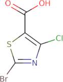 2-Bromo-4-chlorothiazole-5-carboxylic acid