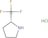 (R)-2-Trifluoromethylpyrrolidine hydrochloride