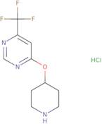 4-(Piperidin-4-yloxy)-6-(trifluoromethyl)pyrimidine hydrochloride