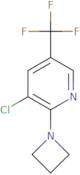 2-(Azetidin-1-yl)-3-chloro-5-(trifluoromethyl)pyridine