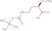 (2R)-4-{[(tert-Butoxy)carbonyl]amino}-2-methoxybutanoic acid