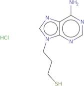 3-(6-Amino-9H-purin-9-yl)propane-1-thiol hydrochloride