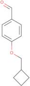 4-(Cyclobutylmethoxy)benzaldehyde