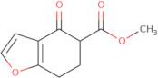 Methyl 4-oxo-4,5,6,7-tetrahydro-1-benzofuran-5-carboxylate