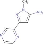 1-Methyl-3-(pyrazin-2-yl)-1H-pyrazol-5-amine
