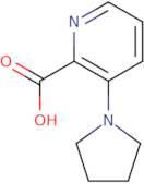 3-(Pyrrolidin-1-yl)picolinic acid