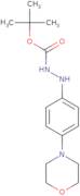 N'-(4-Morpholin-4-yl-phenyl)-hydrazinecarboxylic acid tert-butyl ester