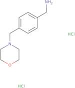 4-Morpholin-4-ylmethyl-benzylamine dihydrochloride