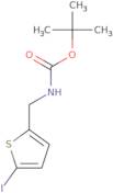 (5-Iodo-thiophen-2-ylmethyl)-carbamic acid tert-butyl ester