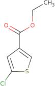 Ethyl 5-chlorothiophene-3-carboxylate