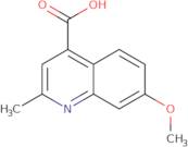 7-Methoxy-2-methylquinoline-4-carboxylic acid