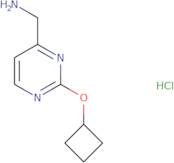 (2-Cyclobutoxypyrimidin-4-yl)methanamine hydrochloride