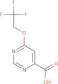 6-(2,2,2-Trifluoroethoxy)pyrimidine-4-carboxylic acid