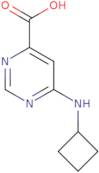 6-(Cyclobutylamino)pyrimidine-4-carboxylic acid