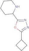2-(5-Cyclobutyl-1,3,4-oxadiazol-2-yl)piperidine