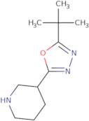 2-tert-Butyl-5-(piperidin-3-yl)-1,3,4-oxadiazole