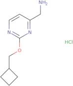 [2-(Cyclobutylmethoxy)pyrimidin-4-yl]methanamine hydrochloride