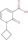 1-Cyclobutyl-2-oxo-1,2-dihydropyridine-3-carboxylic acid