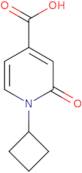 1-Cyclobutyl-2-oxo-1,2-dihydropyridine-4-carboxylic acid