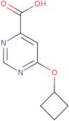 6-Cyclobutoxypyrimidine-4-carboxylic acid