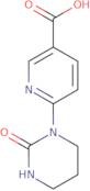 6-[2-Oxo-tetrahydropyrimidin-1(2H)-yl]nicotinic acid