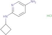 N2-Cyclobutylpyridine-2,5-diamine hydrochloride