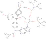 2-Isobutyrylamino-9-(2'-O-tert-butyldimethylsilyl-5'-O-DMT-b-D-ribofuranosyl)purine 3'-CE phosphor…