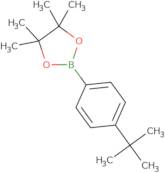 4-(tert-Butyl)benzeneboronic acid, pinacol ester