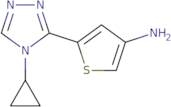 3-Amino-5-(4-cyclopropyl-4H-1,2,4-triazol-3-yl)thiophene